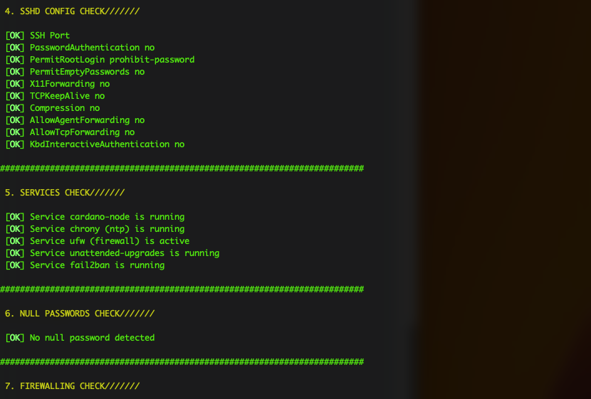 Cardano Security Audit